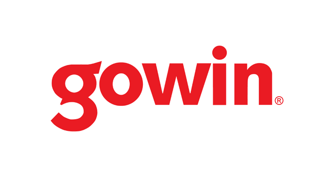 Gowin Stock Rom